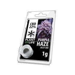 Purple Haze Hasch-cbd-natural