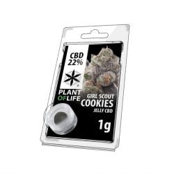 Girl Scout cookies Hsach CBD-Natural