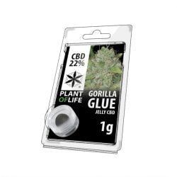 Gorilla Glue 1g 22% CBD Hasch kaufen Deutschland CBD-Natural