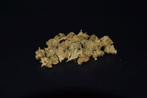 Bubble Gum Popcorn Buds 2g/5g/10g 20% CBD 0,2 THC Gras Blüten (Indoor)