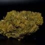 V1 5g Outdoor für 12,95€ 6% CBD Gras Blüten (Outdoor) Gas kaufen in Deutschland|cbd-natural.de