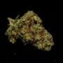 Sunset Sherbet Gras kaufen in Deutschland CBD-Naural.de