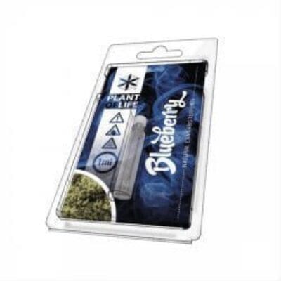 Blueberry Terpene 1ml