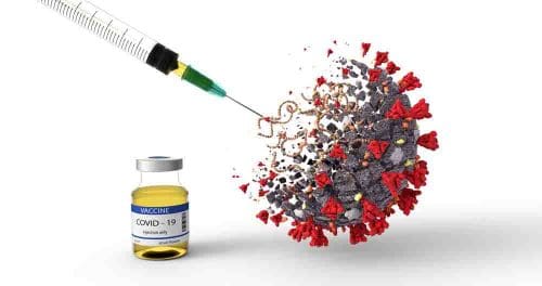 USA: CBD wird zur Förderung von Impfkampagnen eingesetzt(CBD oder Marihuana für die Coronaimpfung)