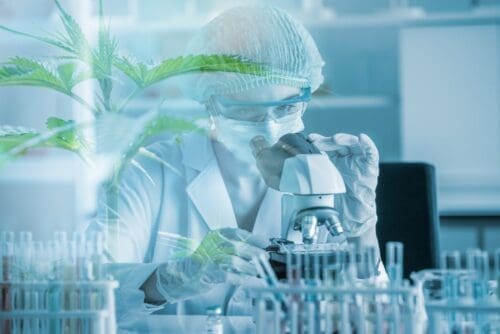Das Geheimnis von CBD(Cannabidiol)