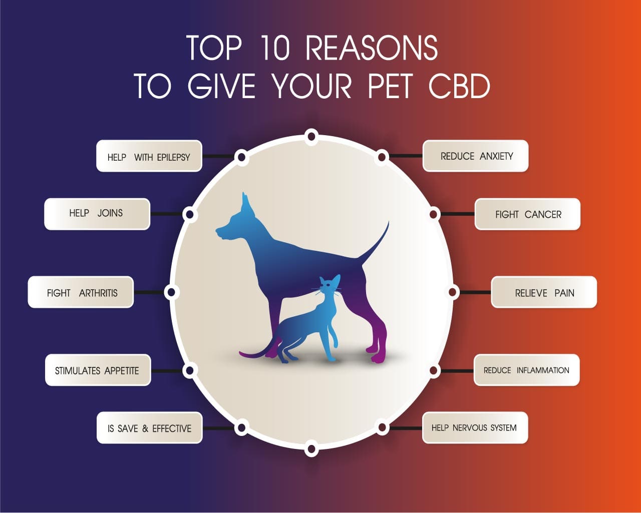 CBD-öl_Hund -Katze-Vorteile-Nutzen-Gesundheit-cbd-NATURAL.DE