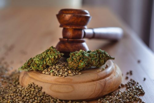 Cannabis Legalisierung Deutschland: Ab wann ist Gras kiffen legal?