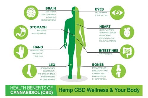 Heilung durch CBD