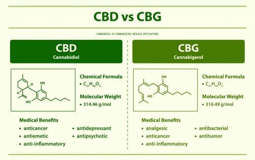 CBD & CBG -was sind die Unterschiede