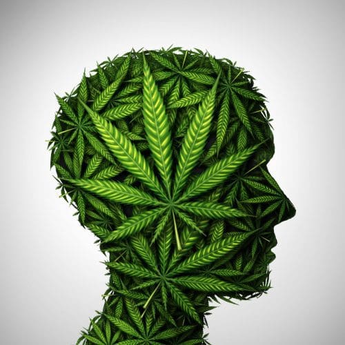 Wer hat Marihuana entdeckt?