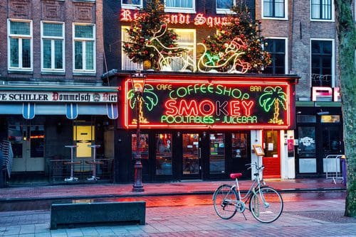 Gesetzgebung zu Cannabis-Shops in Amsterdam