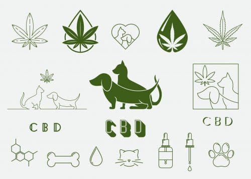 CBD-Öle für Tiere im besonderen Hund und Katze