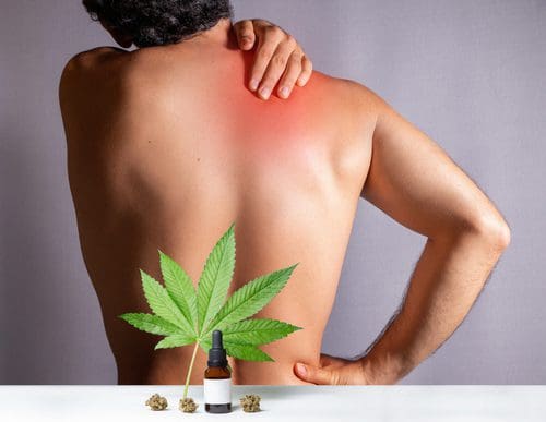 CBD für Schmerzlinderung: Fakten und Forschung