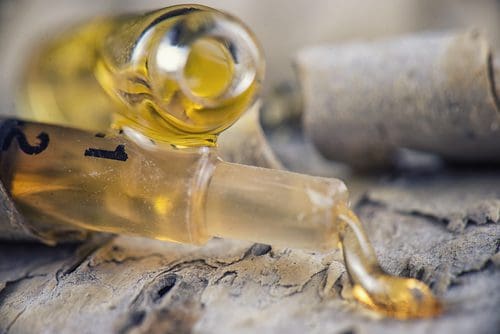 Was sind Terpene? Alles über ihre Wirkung & Verbindung