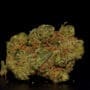 Amnesia Haze