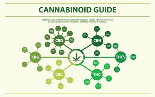Synthetisches vs. natürliches Cannabis: Was ist der Unterschied?