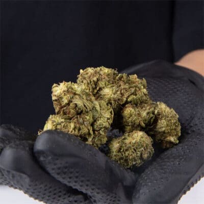 Casper 2g/5g 30% 10-OH Gras Blüten (Indoor)