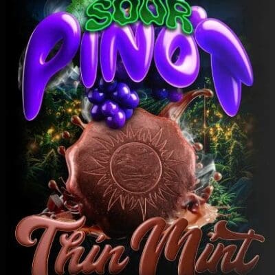Thin Mint x Sour Pinot Auto Strain 3 Seeds