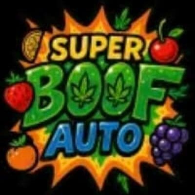 Super Boof Auto 3 Seeds