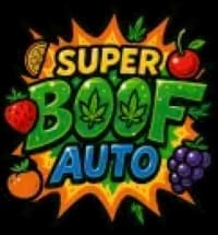 Super Boof Auto 3 Seeds